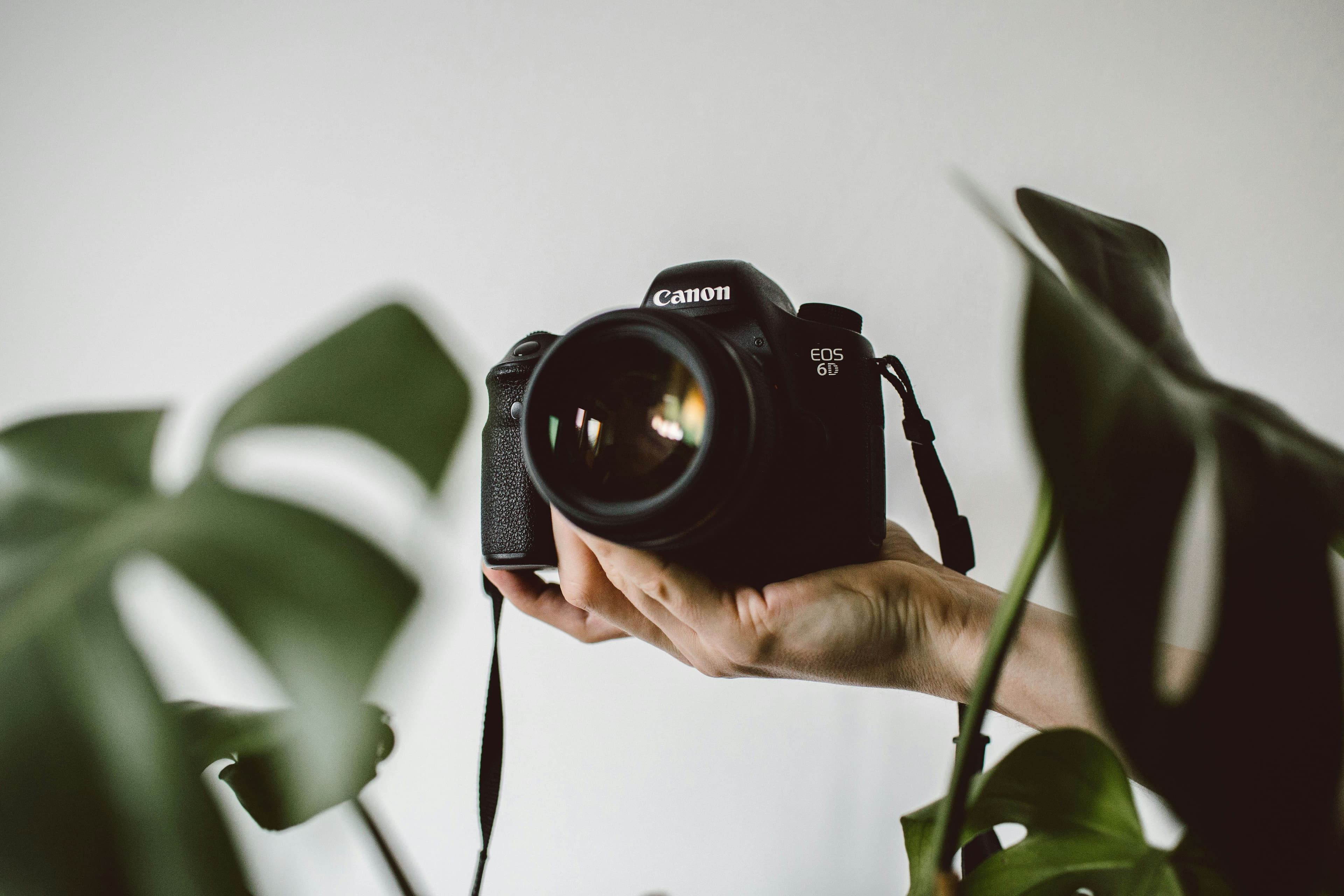 Reel frame